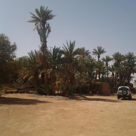 Kasbah Les Alizes Du Desert M'Hamid Eksteriør billede