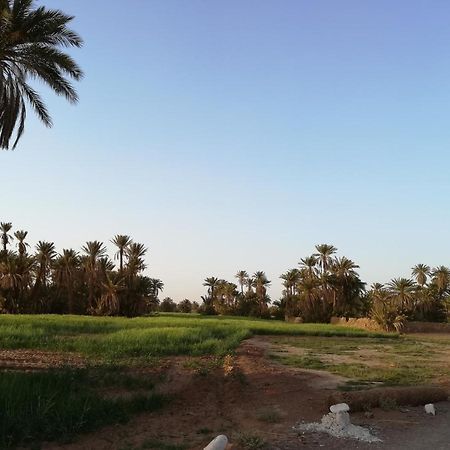 Kasbah Les Alizes Du Desert M'Hamid Eksteriør billede
