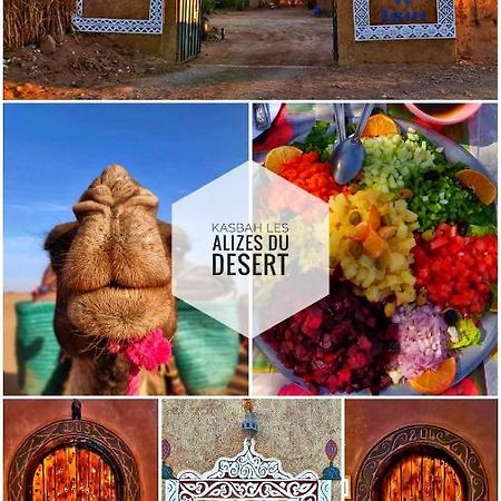 Kasbah Les Alizes Du Desert M'Hamid Eksteriør billede