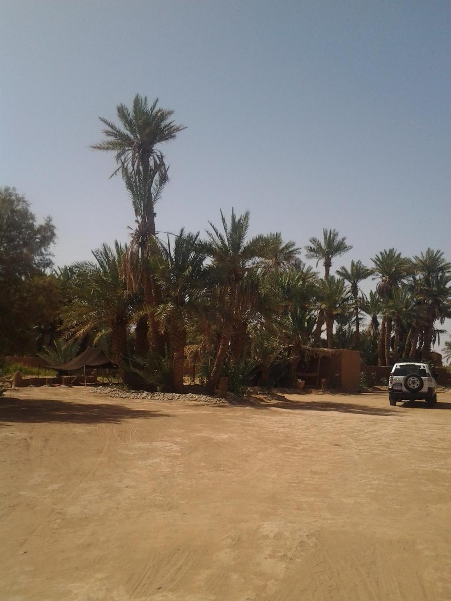Kasbah Les Alizes Du Desert M'Hamid Eksteriør billede