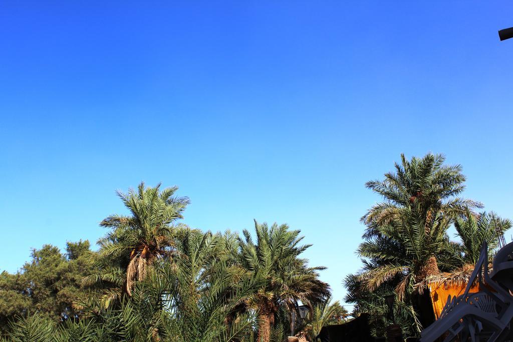 Kasbah Les Alizes Du Desert M'Hamid Eksteriør billede