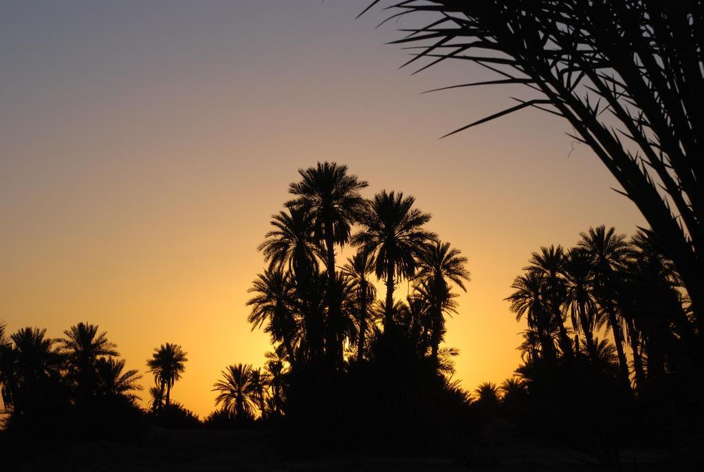 Kasbah Les Alizes Du Desert M'Hamid Eksteriør billede