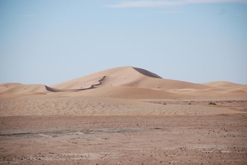 Kasbah Les Alizes Du Desert M'Hamid Eksteriør billede