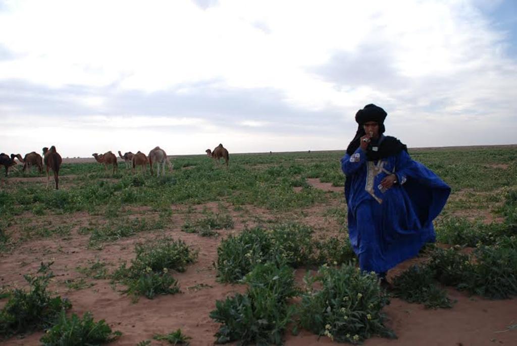 Kasbah Les Alizes Du Desert M'Hamid Eksteriør billede