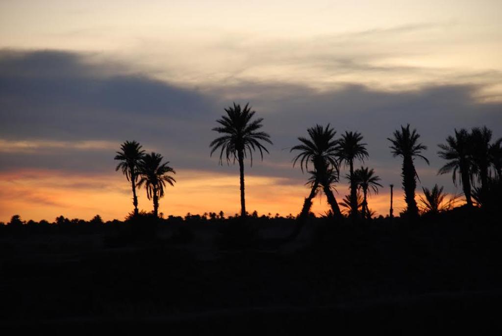 Kasbah Les Alizes Du Desert M'Hamid Eksteriør billede