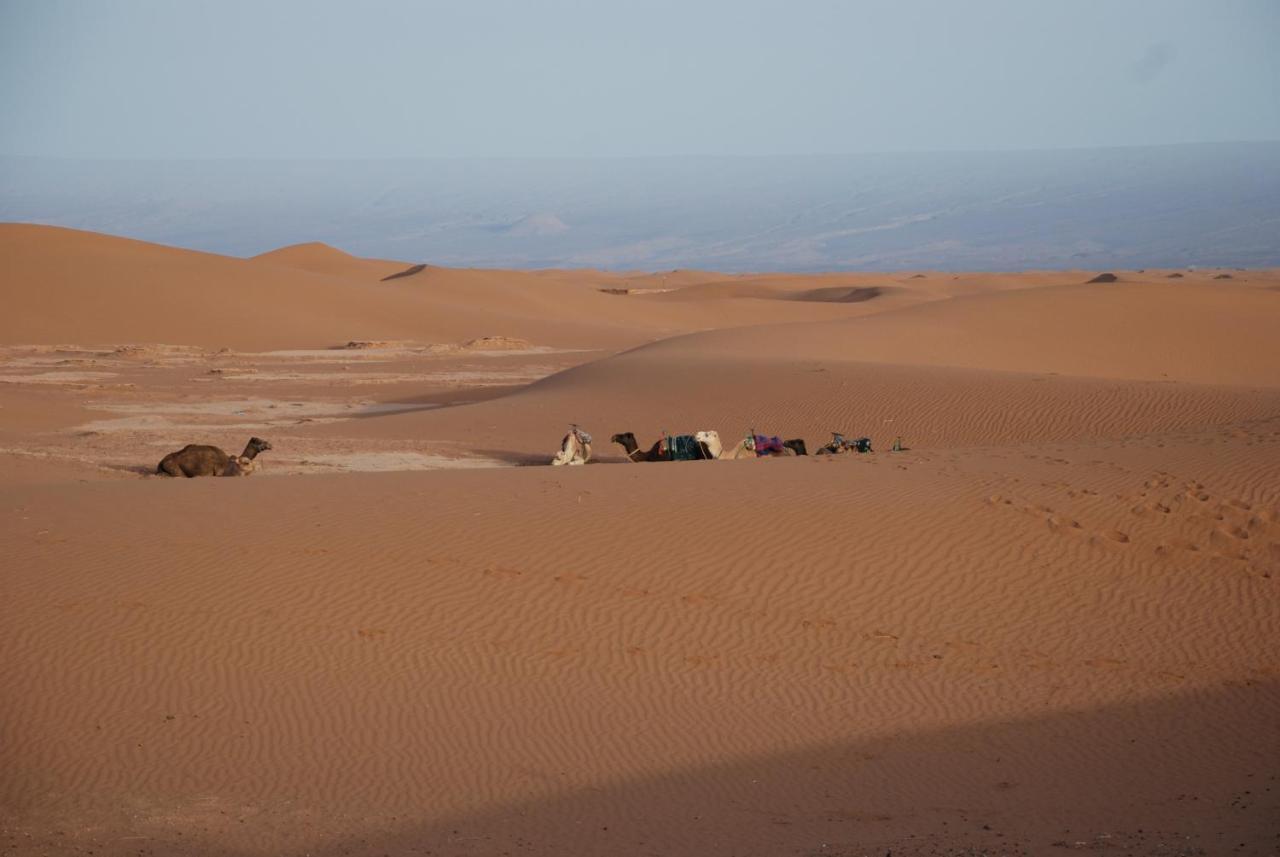 Kasbah Les Alizes Du Desert M'Hamid Eksteriør billede