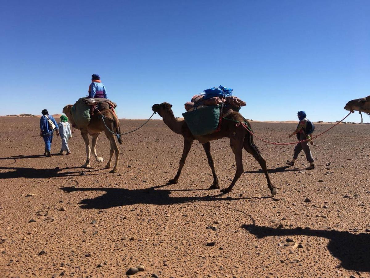 Kasbah Les Alizes Du Desert M'Hamid Eksteriør billede