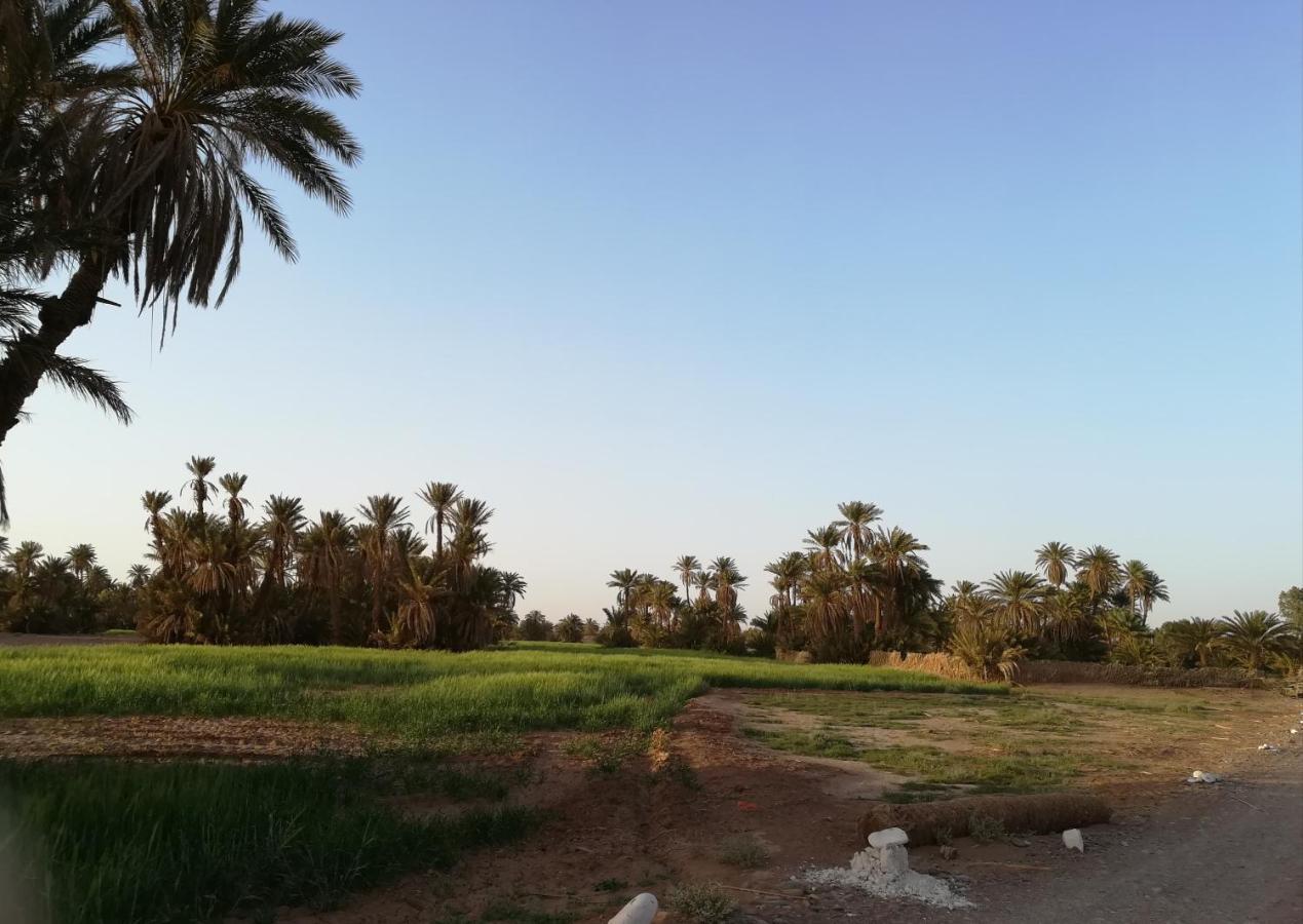 Kasbah Les Alizes Du Desert M'Hamid Eksteriør billede