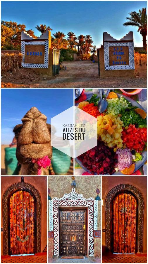 Kasbah Les Alizes Du Desert M'Hamid Eksteriør billede
