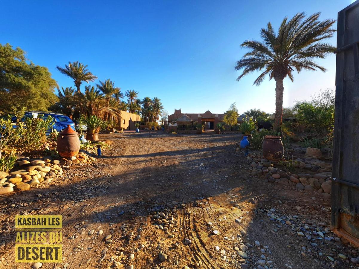 Kasbah Les Alizes Du Desert M'Hamid Eksteriør billede
