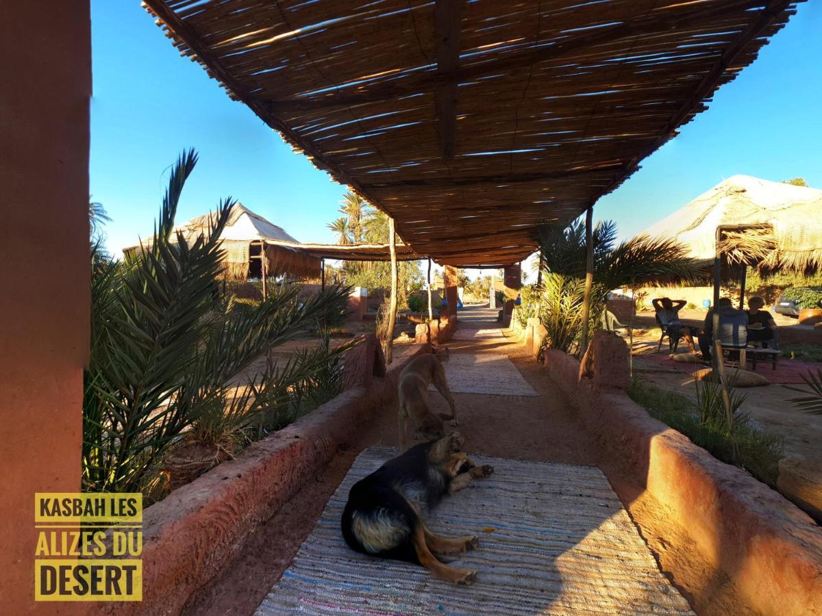 Kasbah Les Alizes Du Desert M'Hamid Eksteriør billede