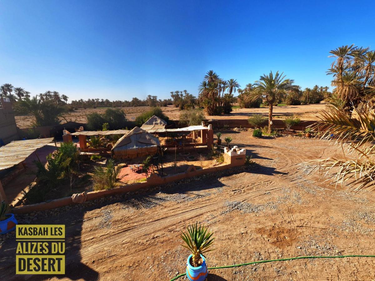 Kasbah Les Alizes Du Desert M'Hamid Eksteriør billede