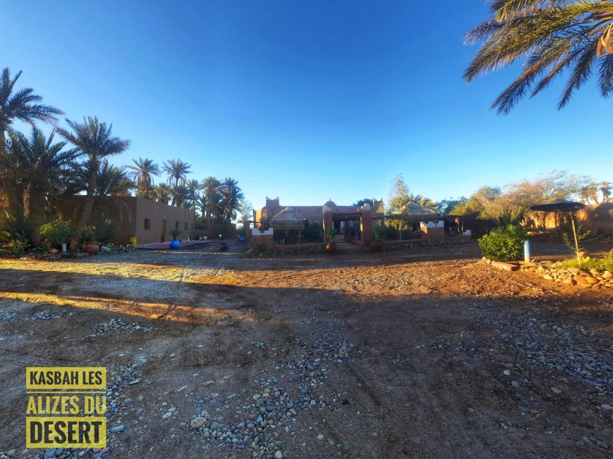 Kasbah Les Alizes Du Desert M'Hamid Eksteriør billede